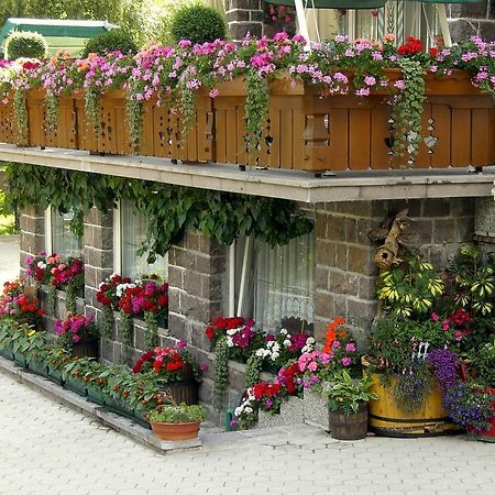 Albergo Trentino Moena Exterior photo