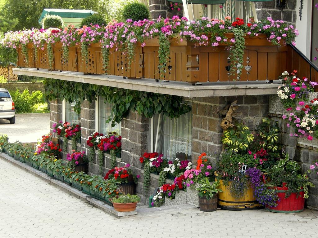 Albergo Trentino Moena Exterior photo